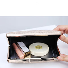 Elegant Evening Clutch for Formal Dresses Champagne
