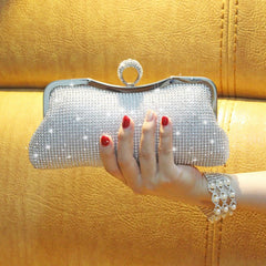 Fashion Clutch With Ring Dinner Bag Silver