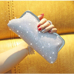 Fashion Clutch With Ring Dinner Bag Silver