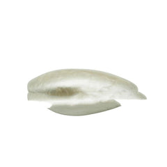 New Shell Color Acrylic Dinner Clutch A