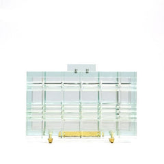 Transparent Acrylic Clutch Bag Fishbone chain 65cm