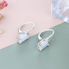 European & American Simple Opal Earrings - S925 Silver Accessories EA103859