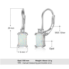 European & American Simple Opal Earrings - S925 Silver Accessories EA103859