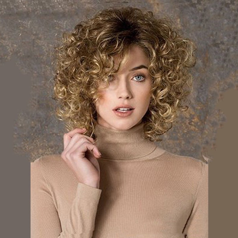 Fluffy Short Curly Hair Wig - High - Temperature Fiber Picture Color