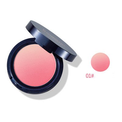 Radiant Blushing Glow: Natural Duo - Tone Gradient Blush Compact 01Blush