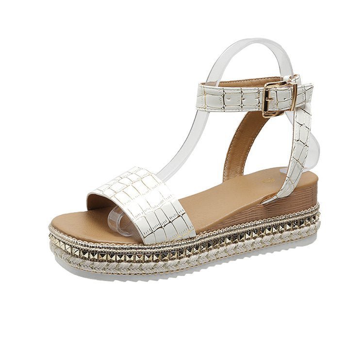 Spring And Summer Women's Trendy Rope Bottom Platform Wedge Sandals Platinum