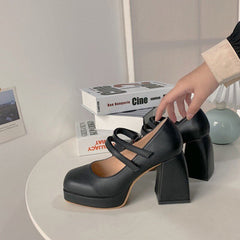 Thick - heeled shoes with high heels Black